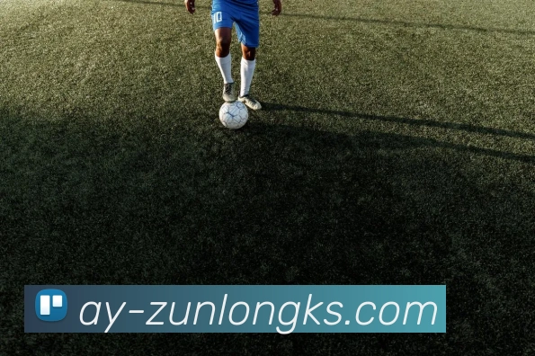 尊龙凯时官网APP 体育赛事宣传图